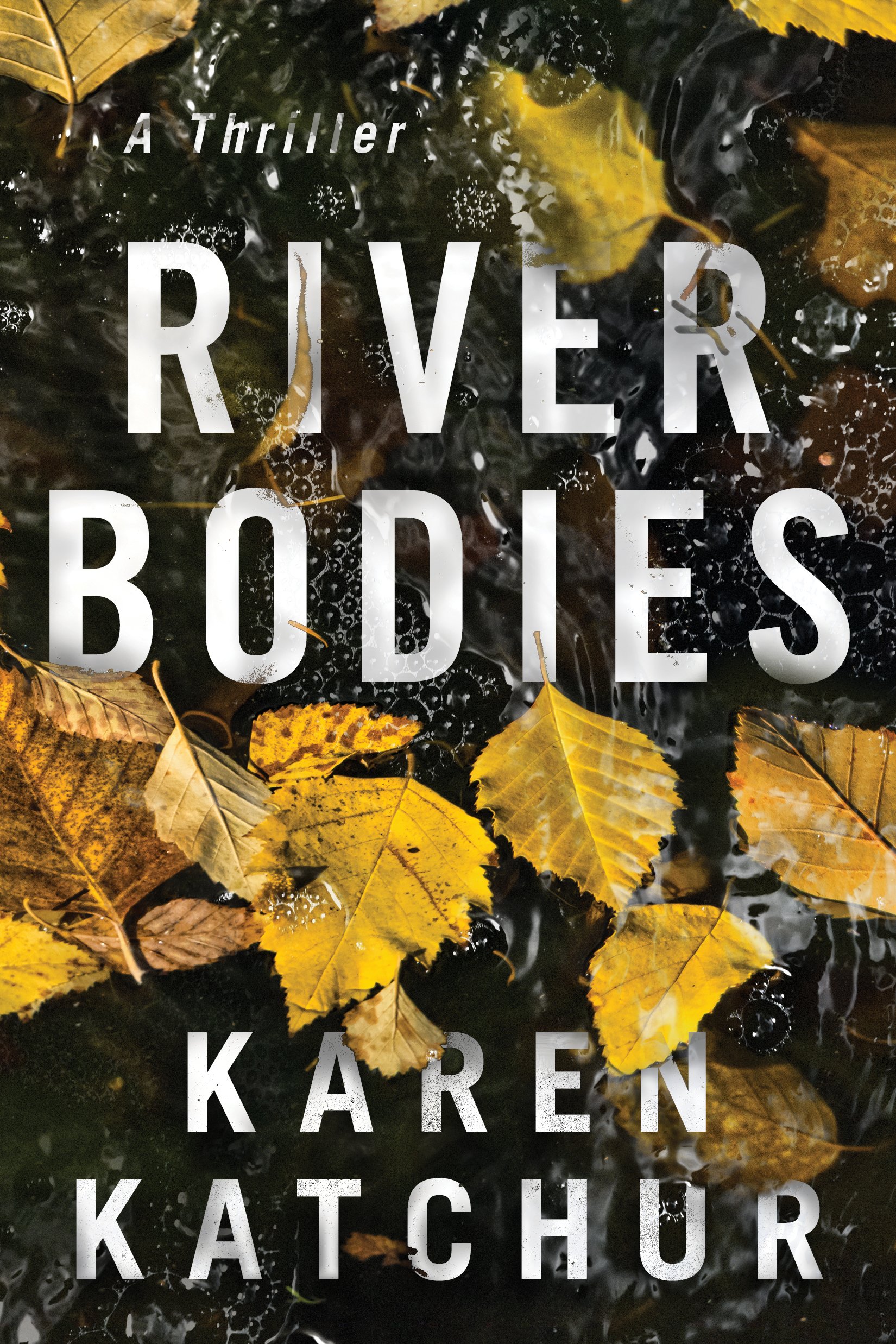 River Bodies cover