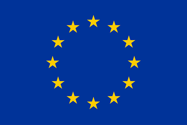 The EU flag, showing 12 yellow stars in a circle on a blue background